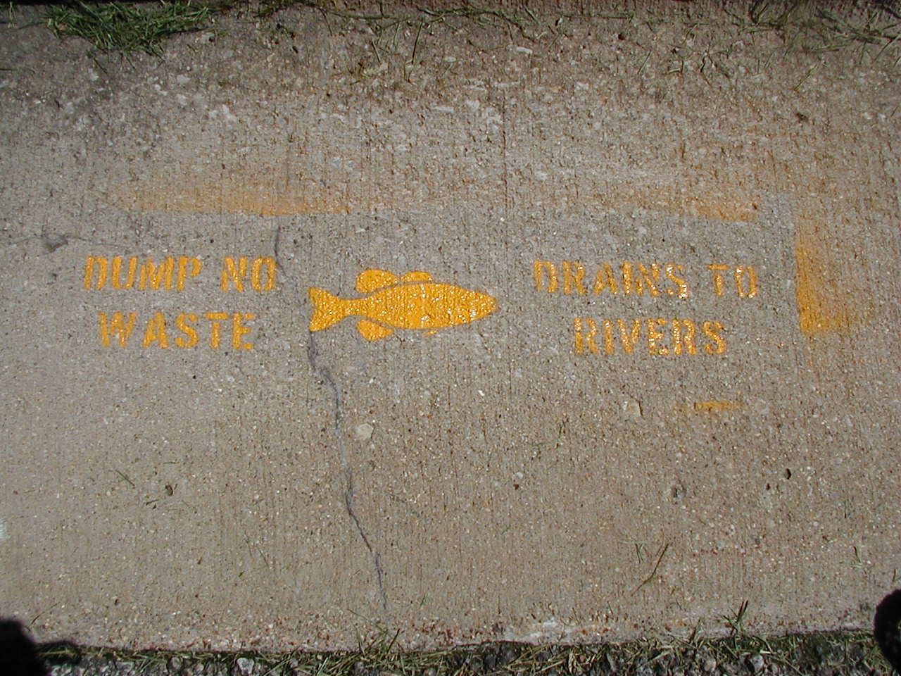 Drains to Rivers" sewer stencil photo that we used when working with the city of Bloomington Public Works Department.