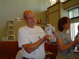 Dr. R. Given Harper holding a young peregrine falcon (Falco peregrinus) banded at the Evanston, IL Public Library