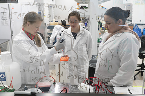 Alison Sweeney ’01 (left), seen here through a dry-erase board, works with her research team at Yale University’s Sterling Chemistry Lab.
