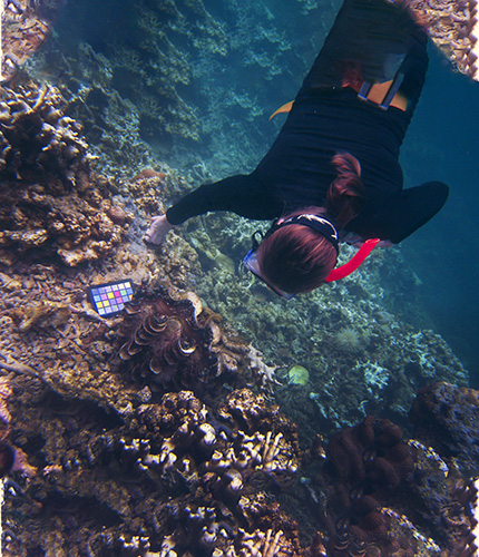 Sweeney dives for giant clams on a research trip to Palau. (Photo/Cynthia Barnett)