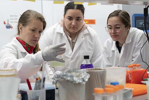 Sweeney and members of her team conduct research at Yale’s Sterling Chemistry Lab. 