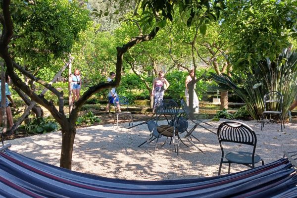 Students look at lemon trees outside their hotel during a May Term travel course.