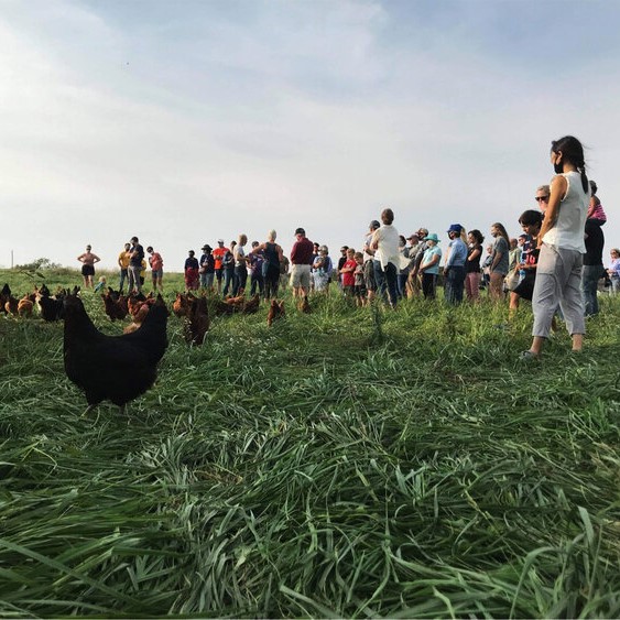 Epiphany Farms Tour