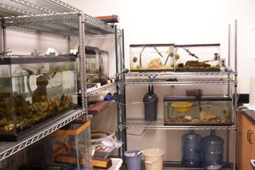 aquarium room