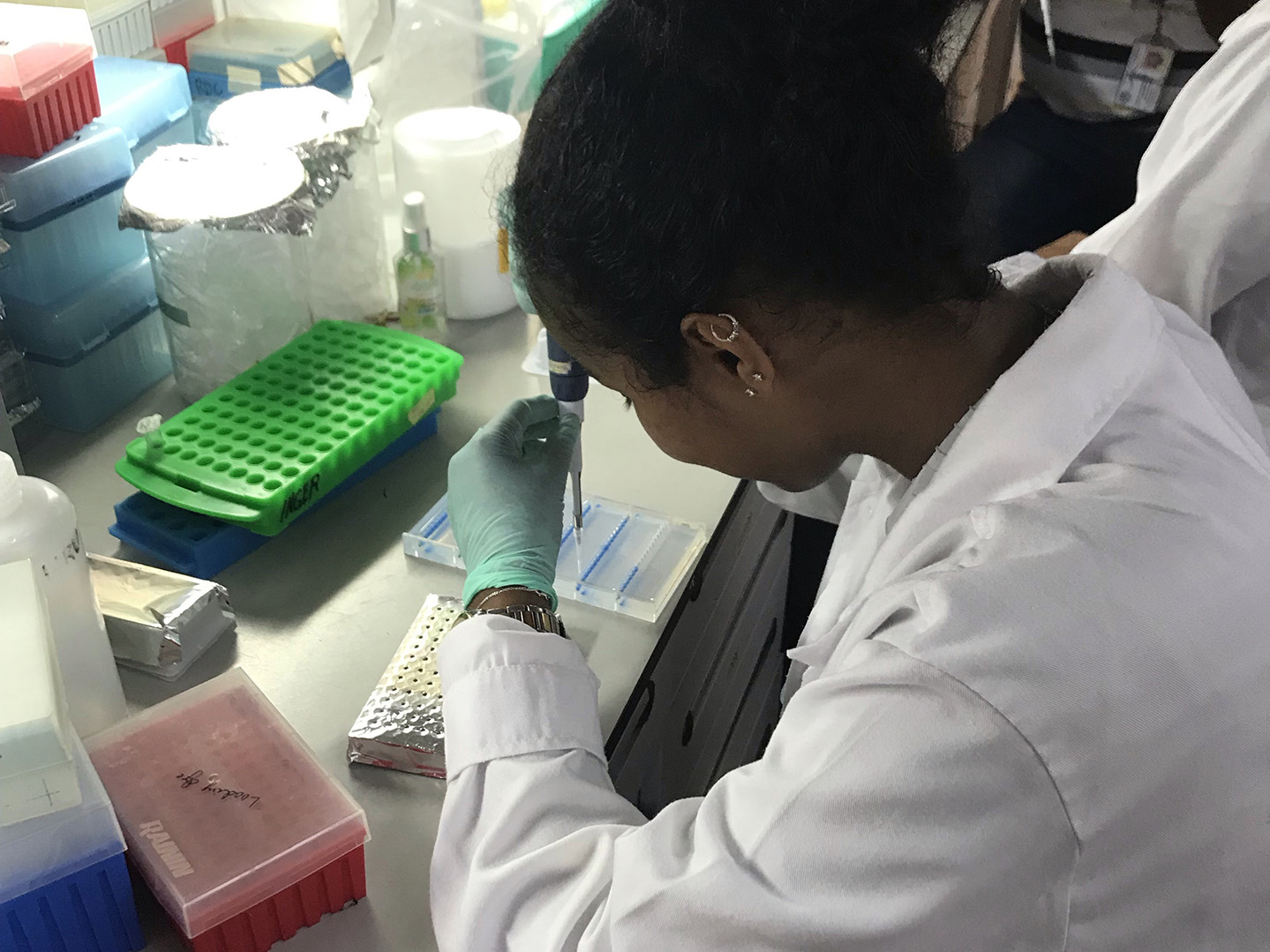 Dilyetna Gebru (’20) at the International Rice Research Institute
