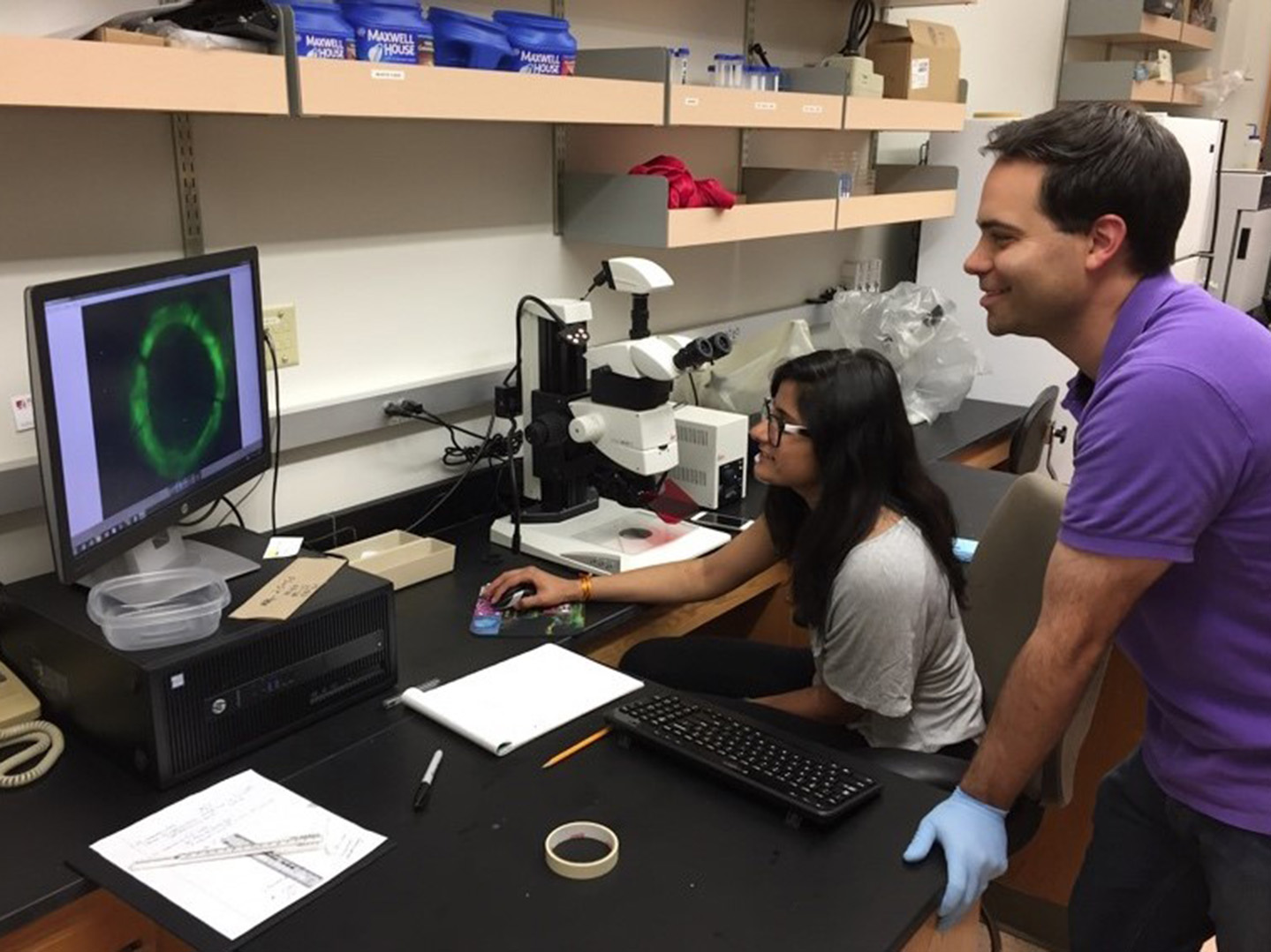 Mansi Patel (’18) and Tyler Schwend analyzing nerve regeneration in the cornea