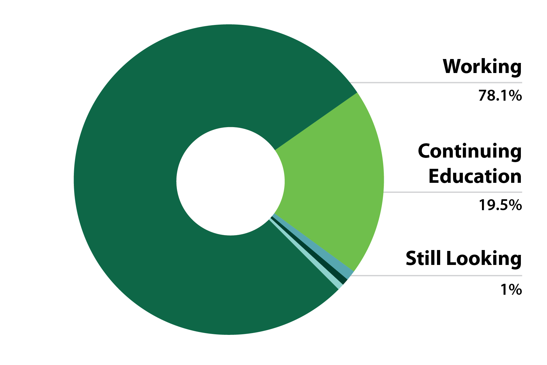 Pie chart showing 78.1% working, 19.5% continuing education, 1% still seeking