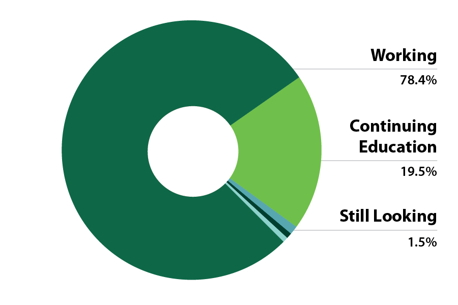 Pie chart showing 78.4% working, 19.5% continuing education, 1.5% still seeking