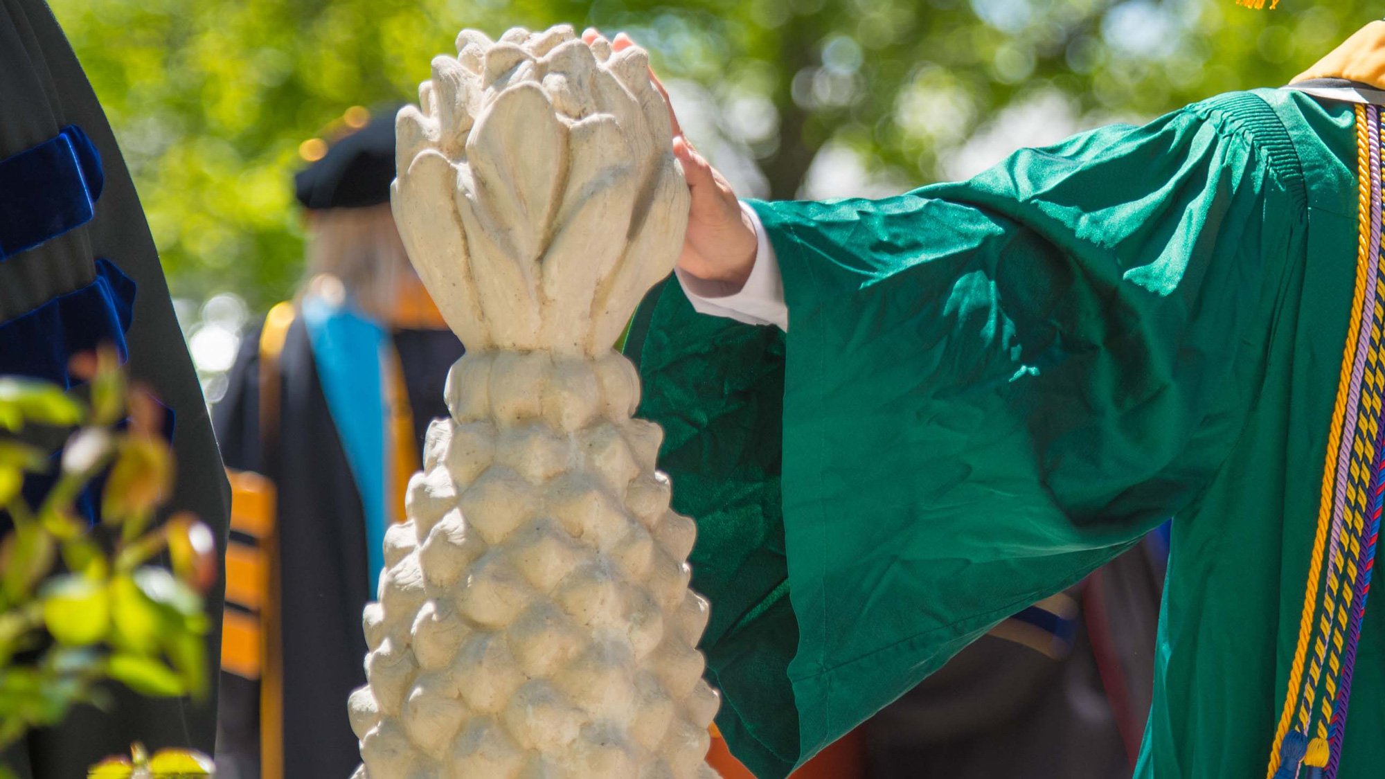 Student touches the traditional pineapple after receiving diploma