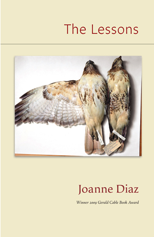 Cover of The Lessons by Joanne Diaz