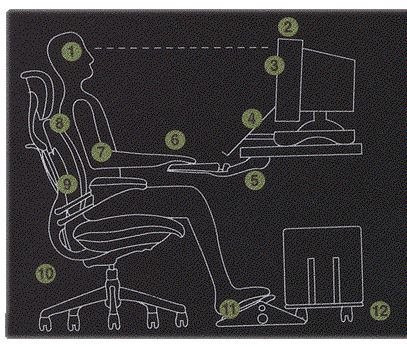 ergonomics diagram