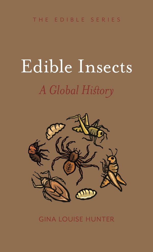 insects