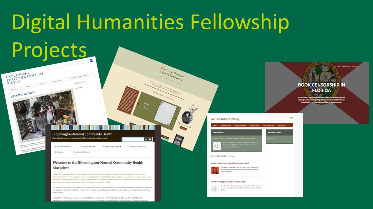 Images of DH Fellowship Websites