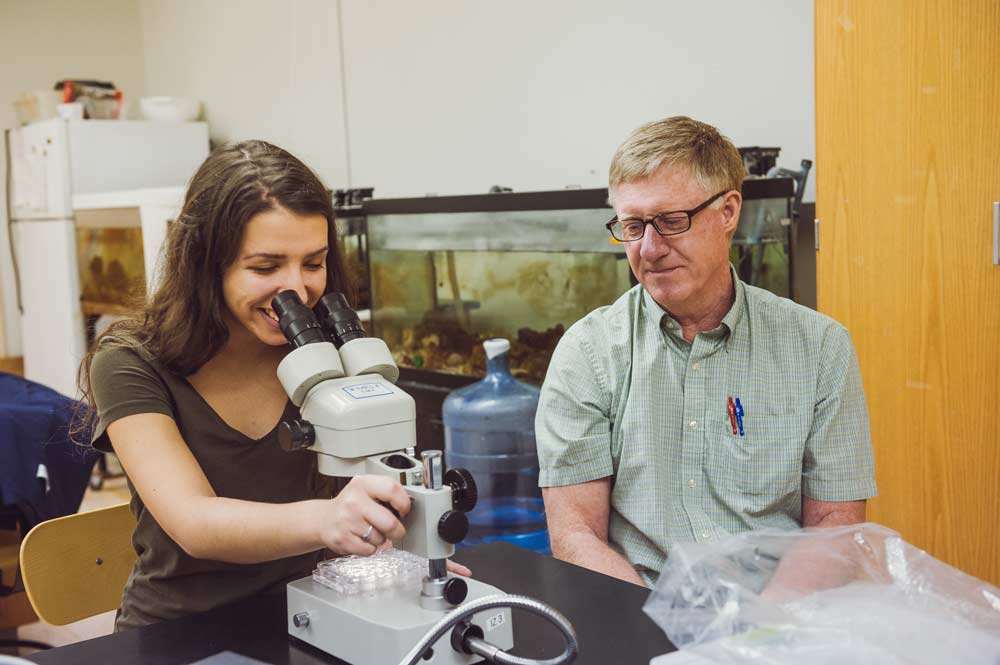 Jaeckle checks in with Blumberg as she continues an independent research project the two devised, combining her interest in viruses with his interest in invertebrate animals.