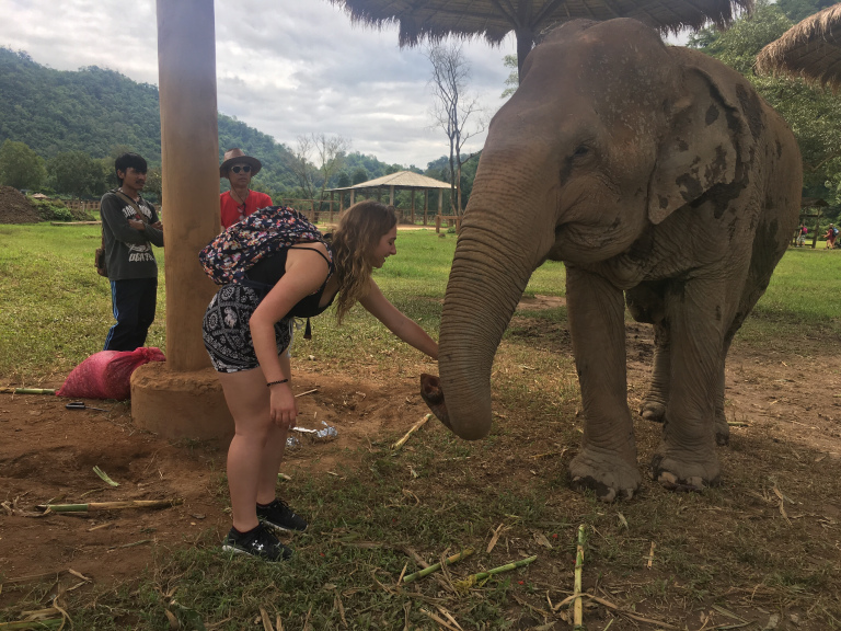 Gauthier feeding an elephant