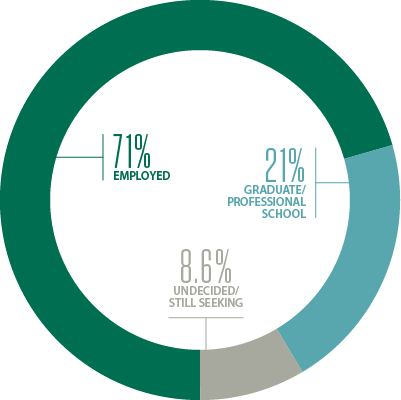 Survey Chart