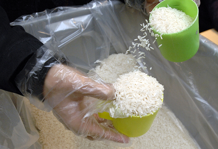 Harvesting Help rice