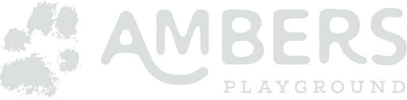 Ambers Playground Logo