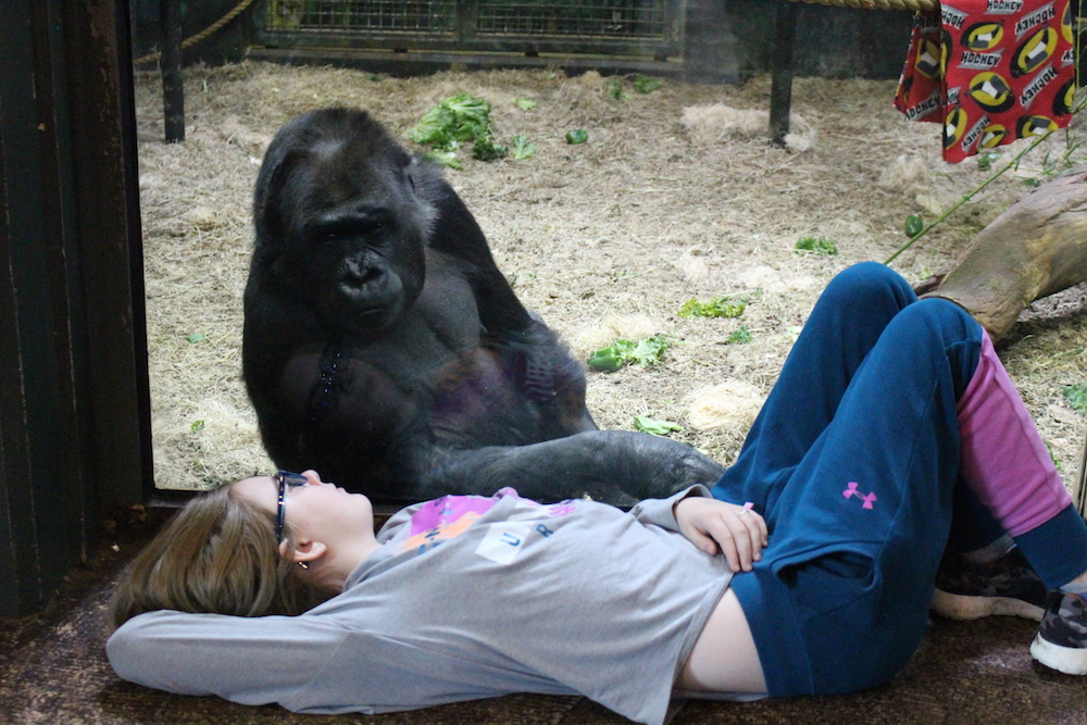 Elementary school child with primates