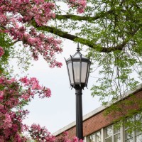 Lamppost and Flowers at WU 