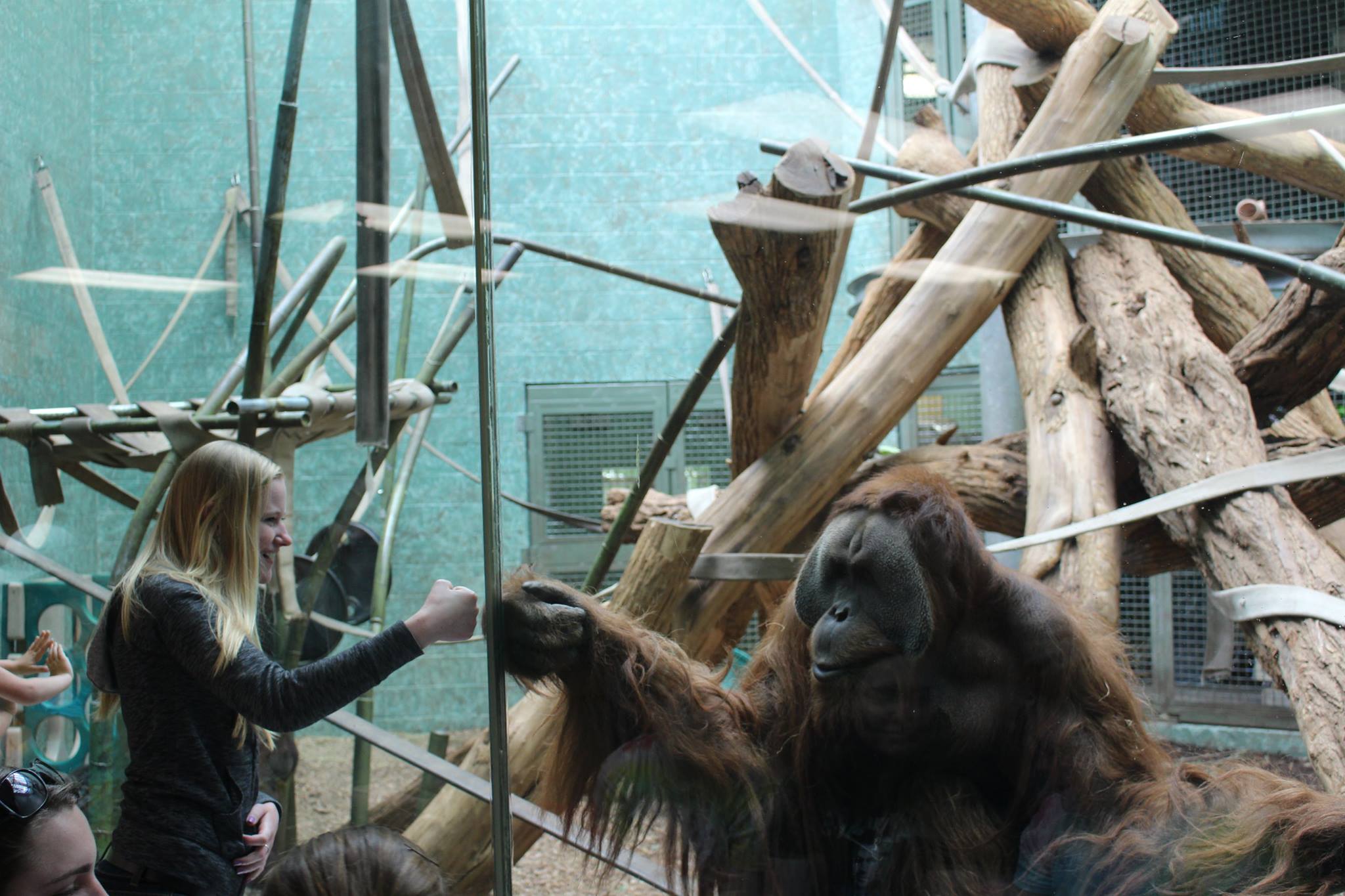 Animal Studies Scholars and Bloom Community School Students to Observe and Enrich Louisville Zoo ...