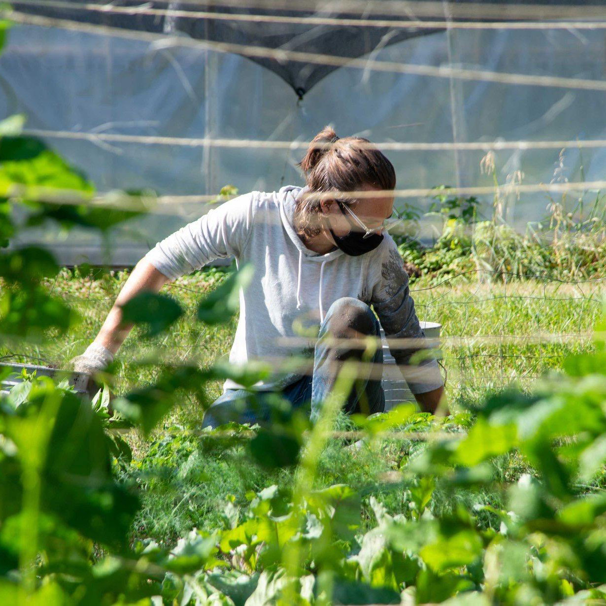 Working in the garden