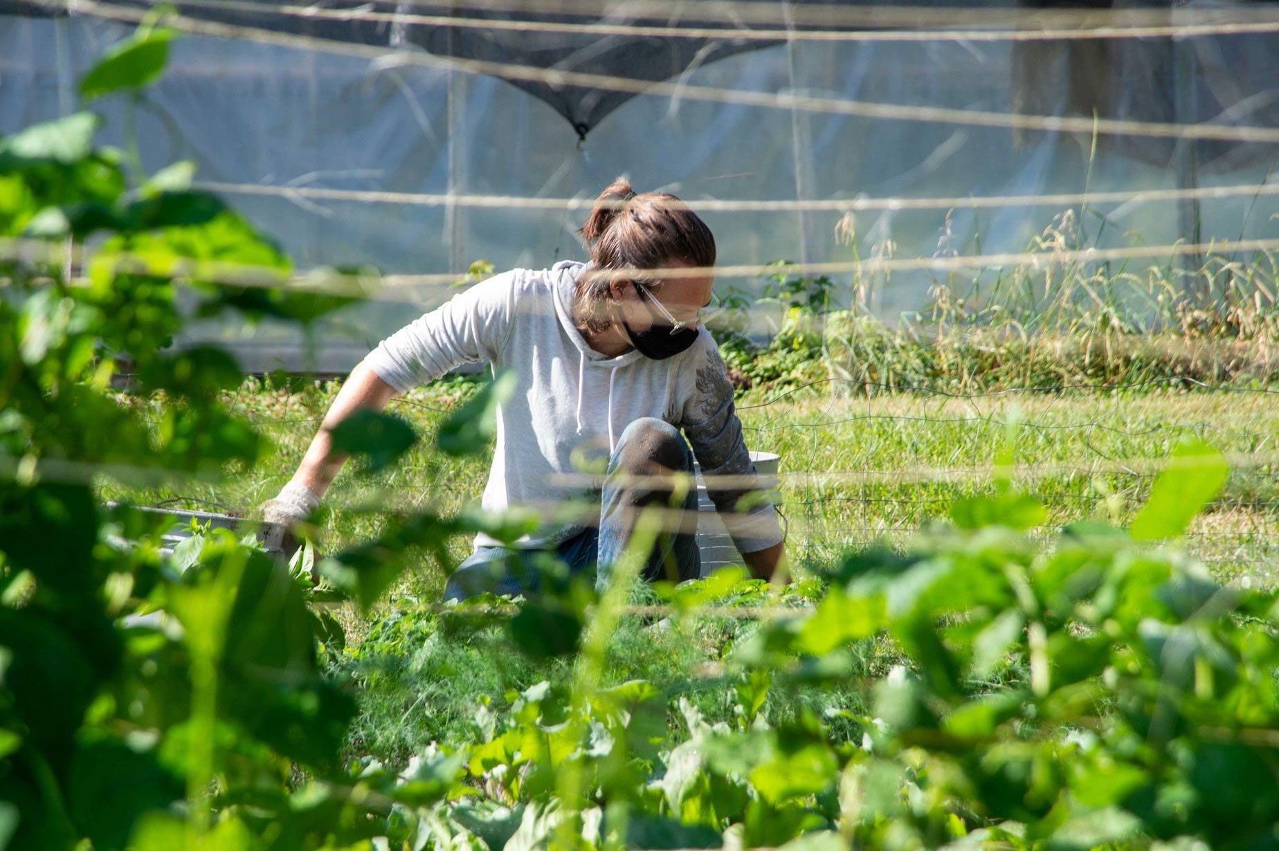 A student works in the Peace Garden