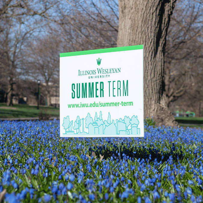Yard sign surrounded by blue flowers promoting Summer Term at Illinois Wesleyan