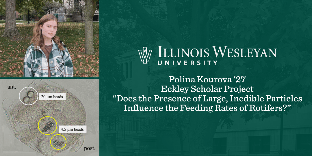 Photo of student Polina Kourova with image of rotifers from her research as a summer eckley scholar at IWU