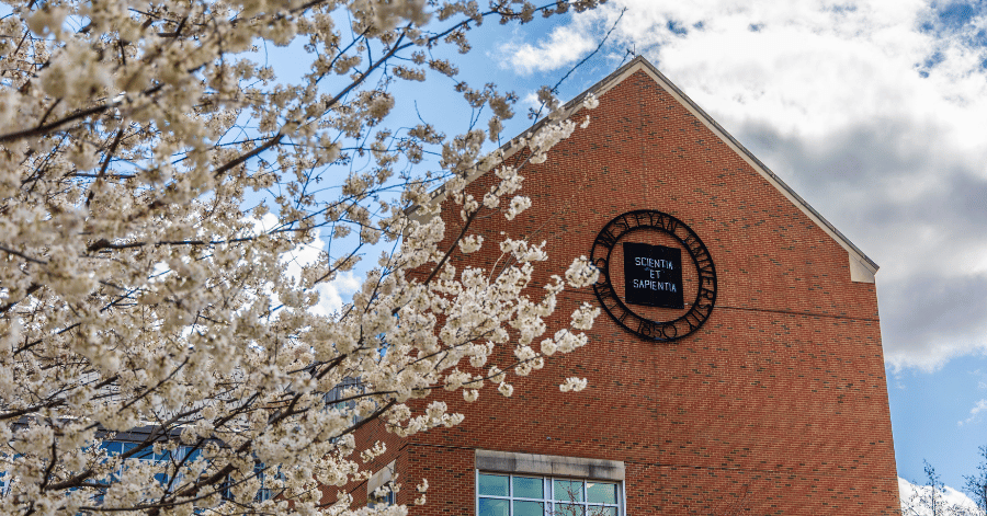 flowering tree in front of IWU logo on State Farm Hall building