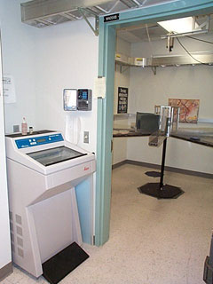 Behavioral Neuro Lab 2